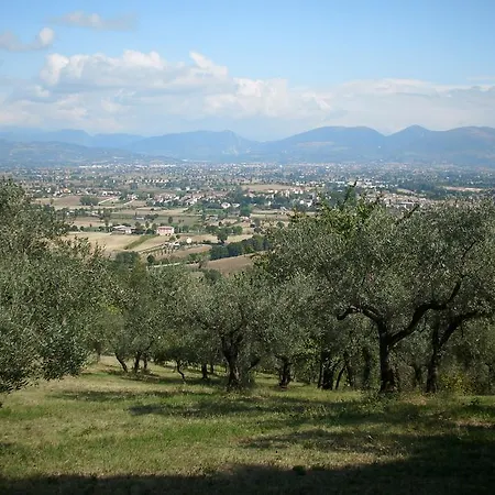 Il Grotto Bed and breakfast 3*