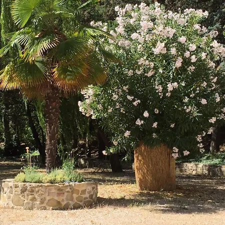 Il Grotto 3*