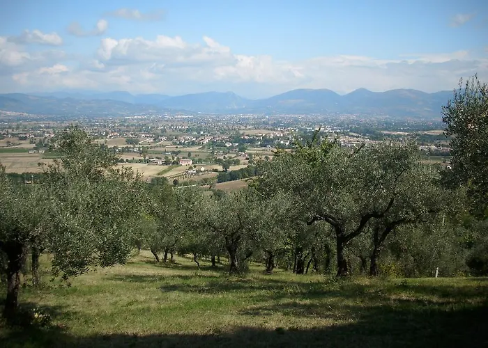 Il Grotto Отель типа 